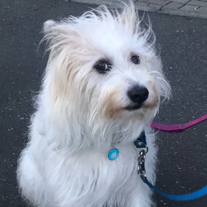 3836ac6f aaae 4e01 bc85 ed760dd7b0c4 1564902283600