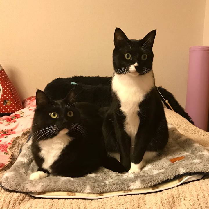 3836b17e f594 4021 b57e 8ed908479ef0 1513899043895