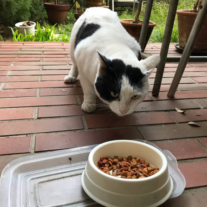 3836c828 8b59 467a b8bc b1f8be6d04c0 1542077544507