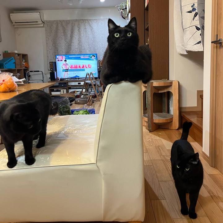 3836ee25 1d7e 4dfd a0ff 631388a040db 1702203712170