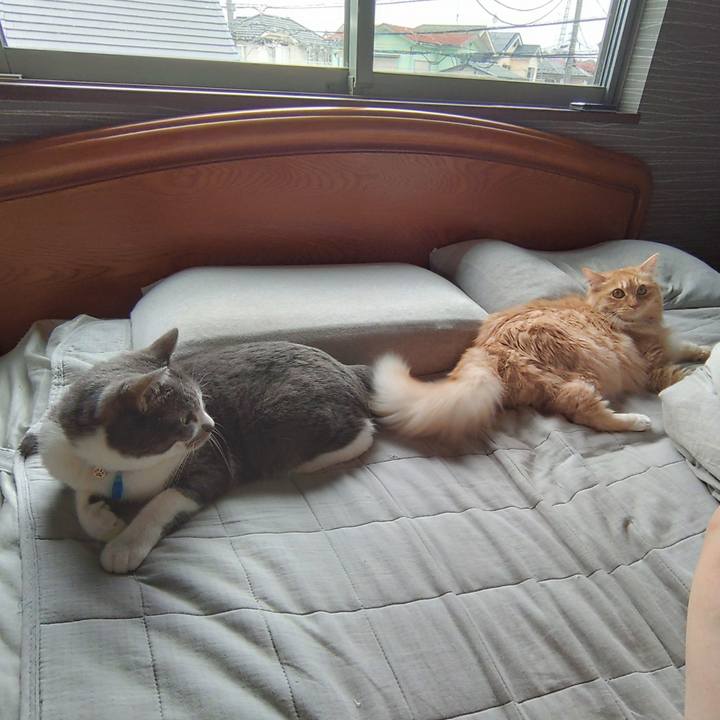 38371164 9639 4334 ac58 b9298147ac8e 1684021215532