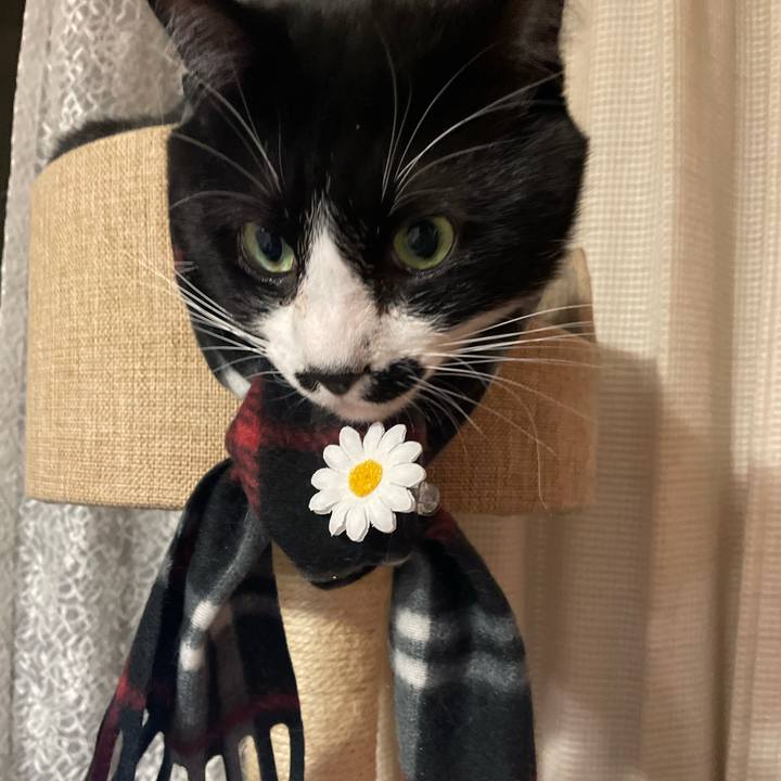 383714fc 2f61 419e 89af 6d9dd6fd1e7d 1705318330179