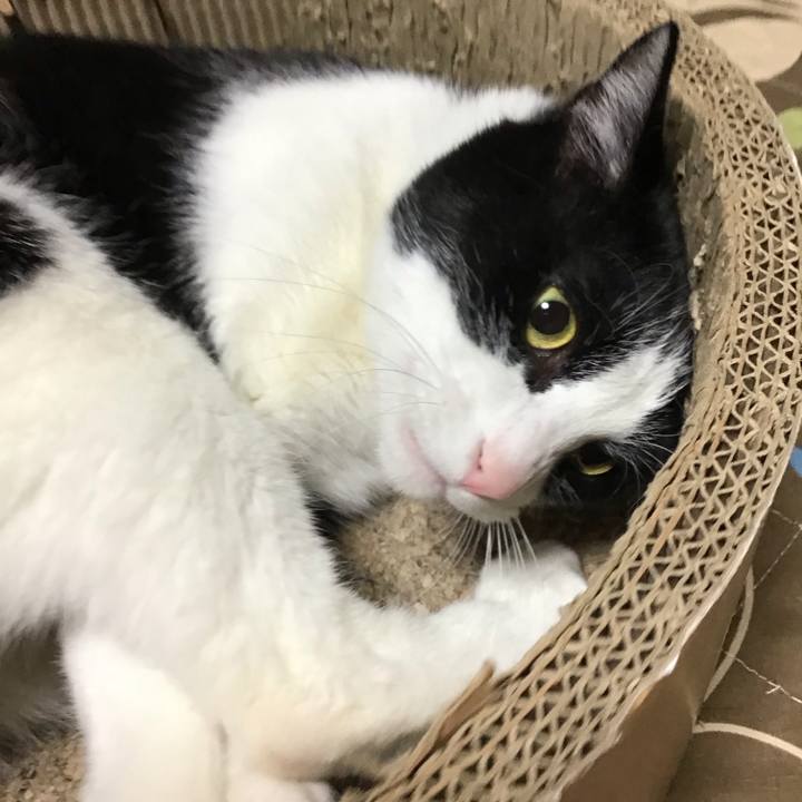 383718e6 7ed2 486d 9b7a b53a616e21a8 1744120324165