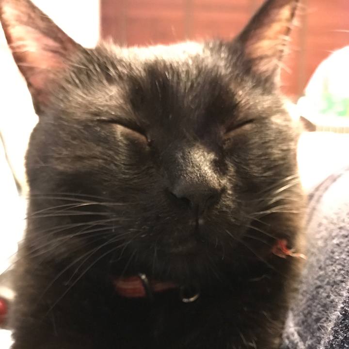 38371a15 9bbf 4415 8270 dc32b6631a4b 1529642736989