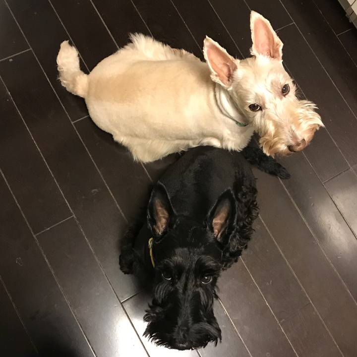 383727b7 d4d9 47d3 bb82 d4cc9df7c2c5 1573117277228