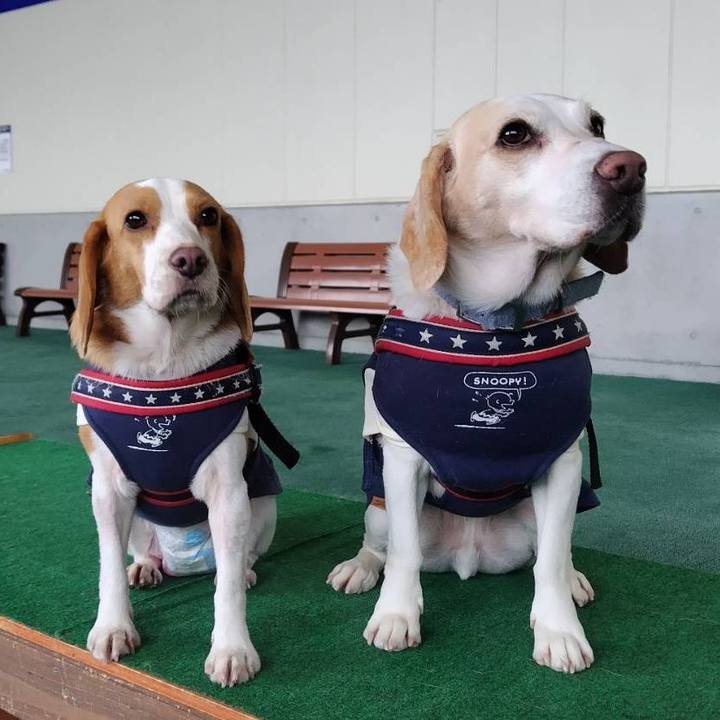 38375500 9614 4e29 9506 9d237d987883 1762854828772