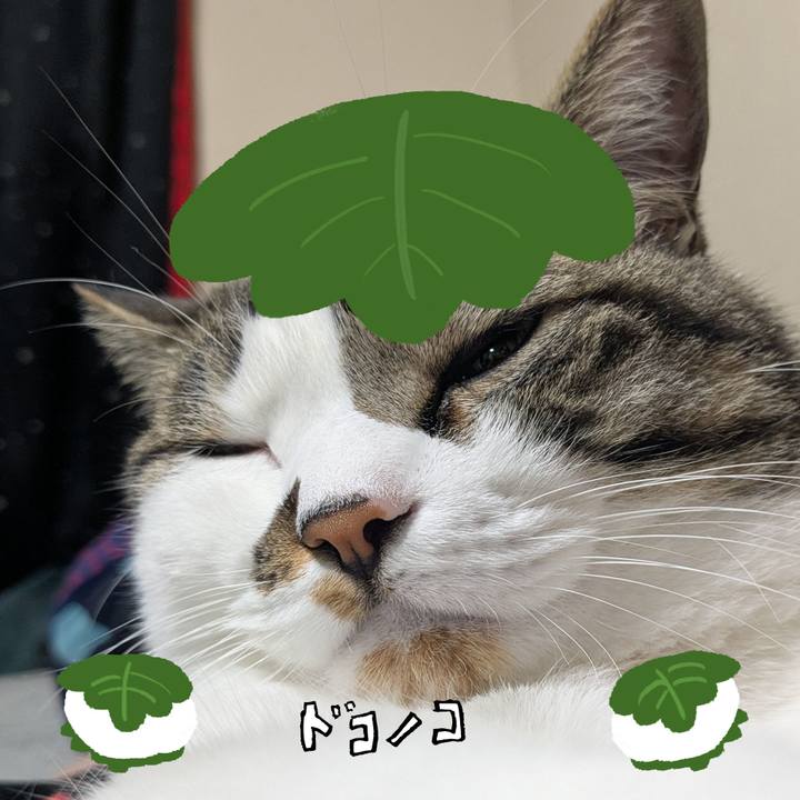 38376c78 38bb 4241 a460 987f96cc8d88 1749155946866