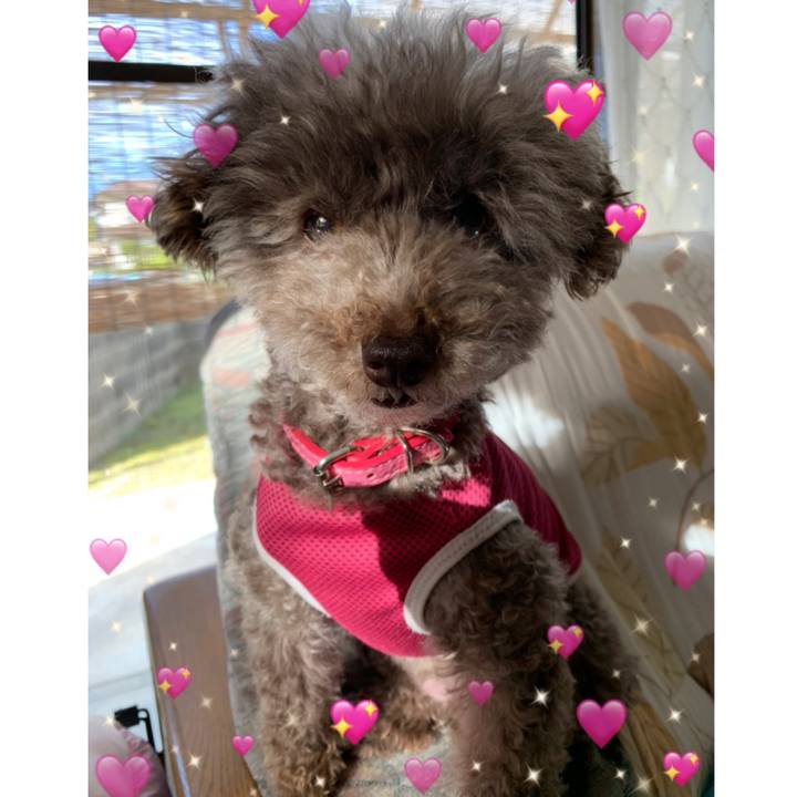 3837ebb9 6eb7 41f8 a5b6 5a61599e07b9 1624141190525