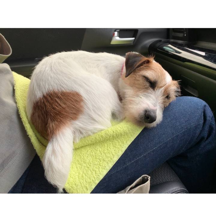 383806dd e1ad 4da7 ad42 e04729e6e17b 1590041212392