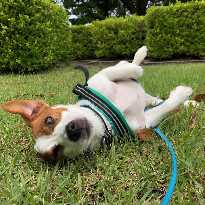 38381b30 e8d2 4533 8fc6 5030794bed9a 1592552599569