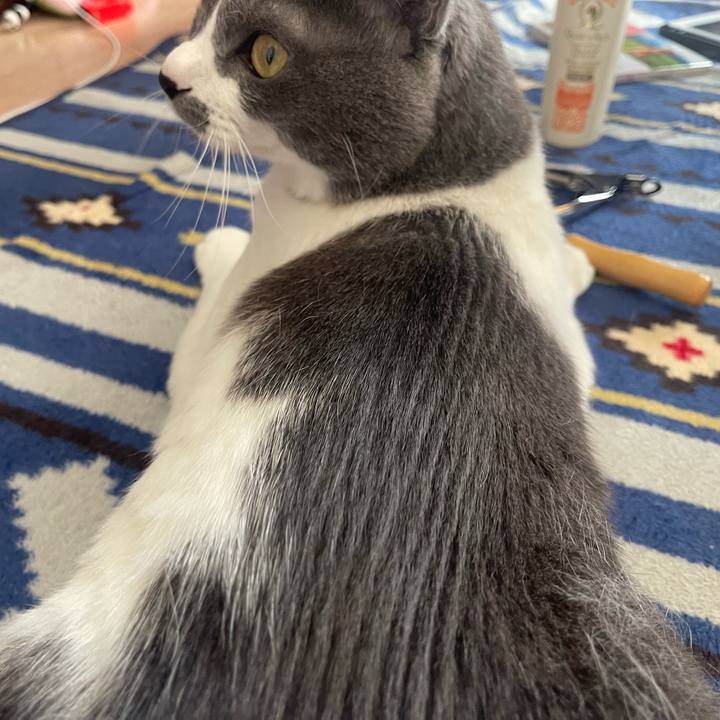 3838781b bf0b 4bf2 b985 a81e5ce3ee4a 1667095670634