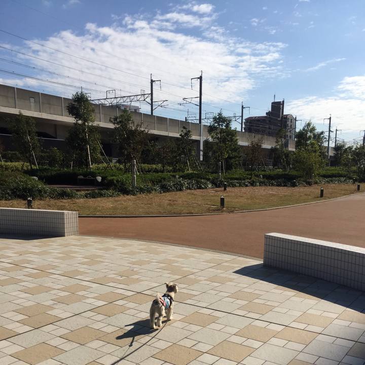 38387dde 1809 42bd 82f1 47baa17c4939 1542196801316