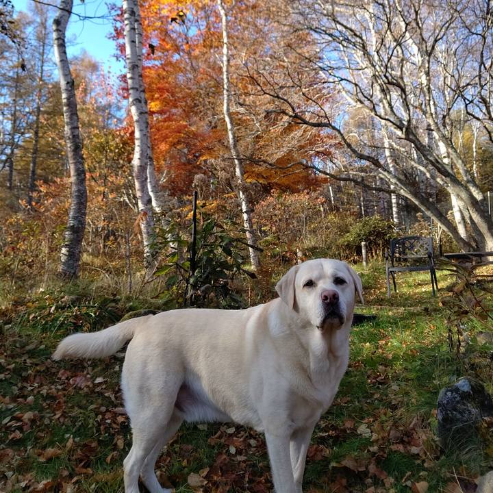 3838884a a8a1 4105 b258 6251544020a3 1698374703855