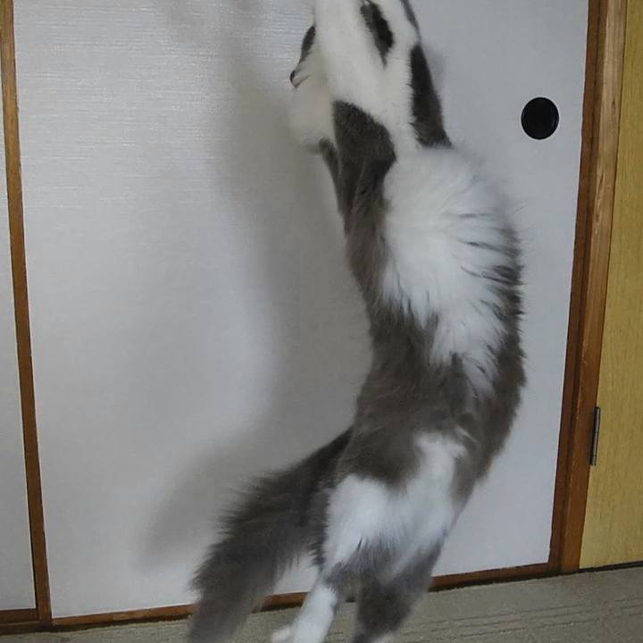 3838a436 90d4 4a16 a557 0fda1d5863ee 1578805260315