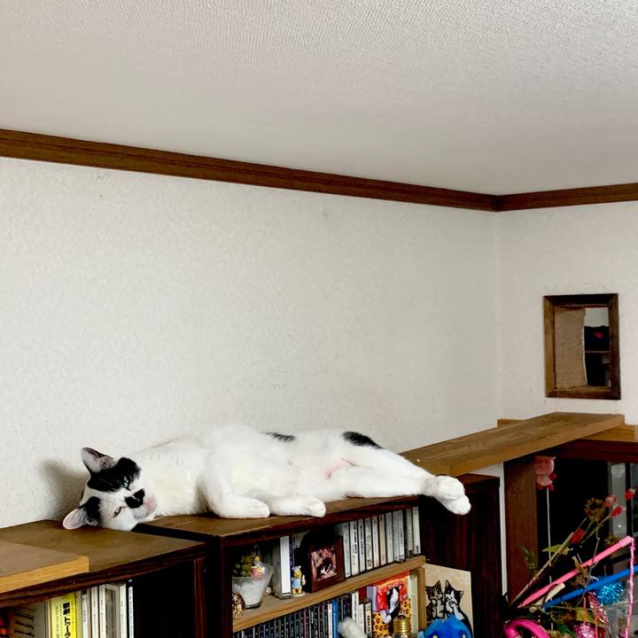 3838b53c 0294 488b 97e8 a95578745e5f 1597823352674