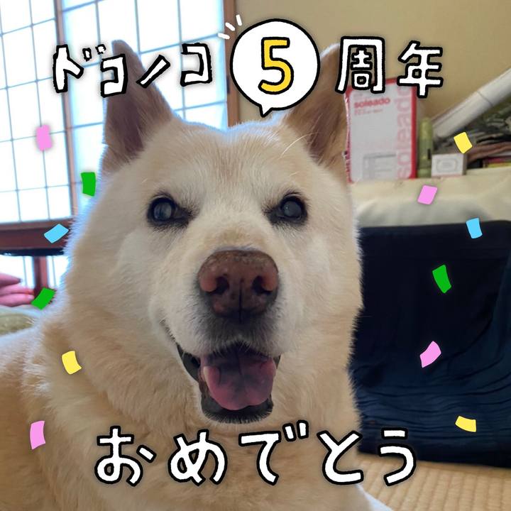 3838c804 bc43 471f 8fd7 6c698e83998a 1622933499044