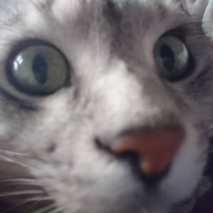 3838d1c3 337d 4a0d 81ab 6a68df787b7e 1562659255660