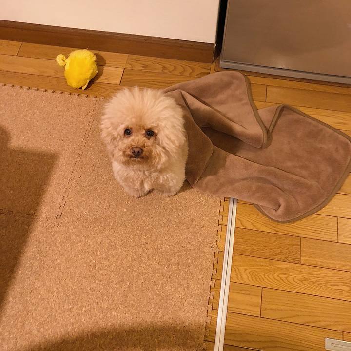 3838fca8 0895 4379 8a6e 948fd101e9b7 1532077678885