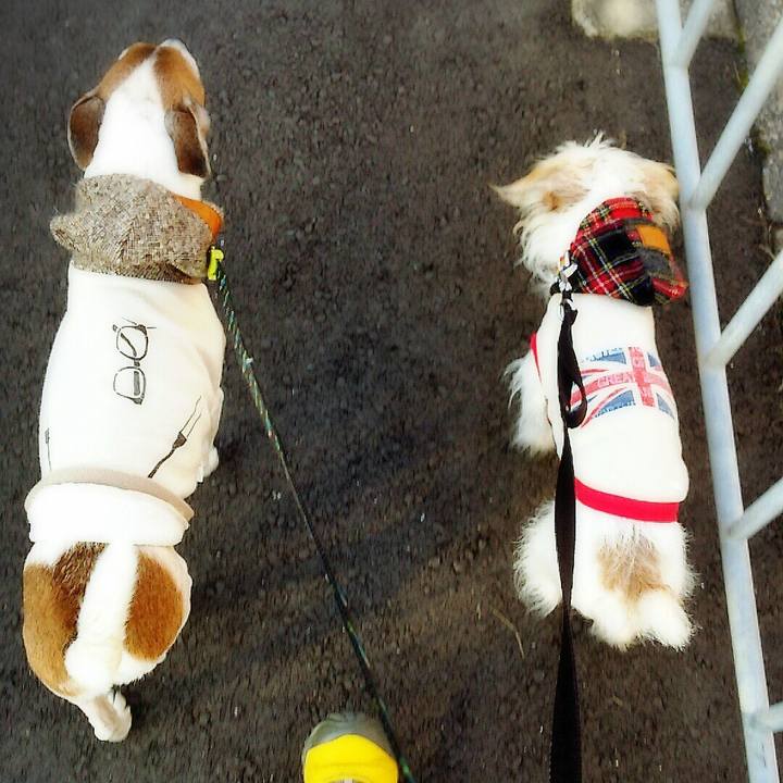 3838fe1b 1082 4a63 abcd d75fc8d4118a 1516432475513