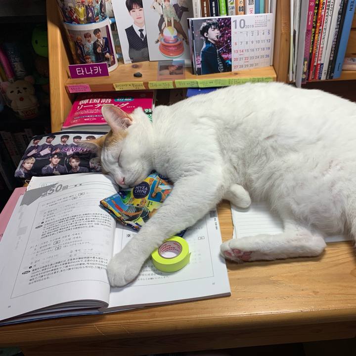 3838ffae 1865 41f5 9999 4a90e1bd3d7f 1570112674523