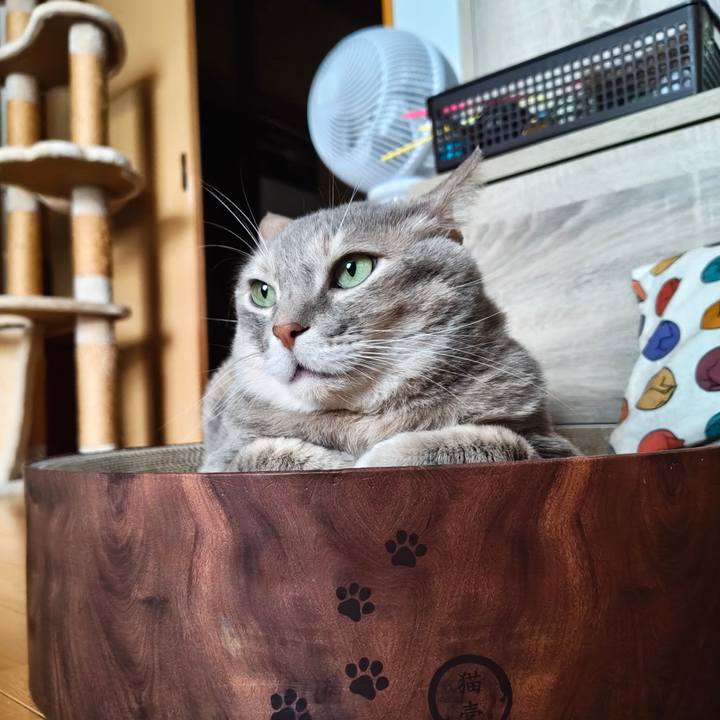 38391909 8a64 49bc a322 cd6a7512bdbb 1769867160360