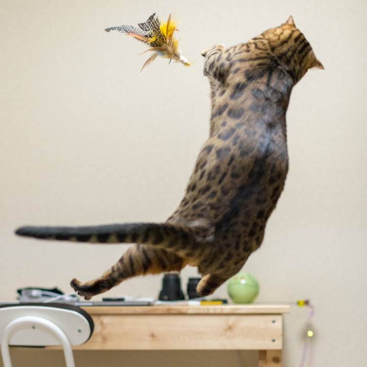 38392c2f 027c 4115 93d1 99624871c324 1518963115665