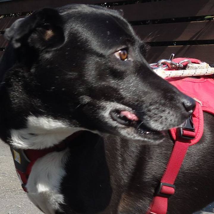 38395f54 7ae1 4daf 94d8 176798fd8a62 1683592784353