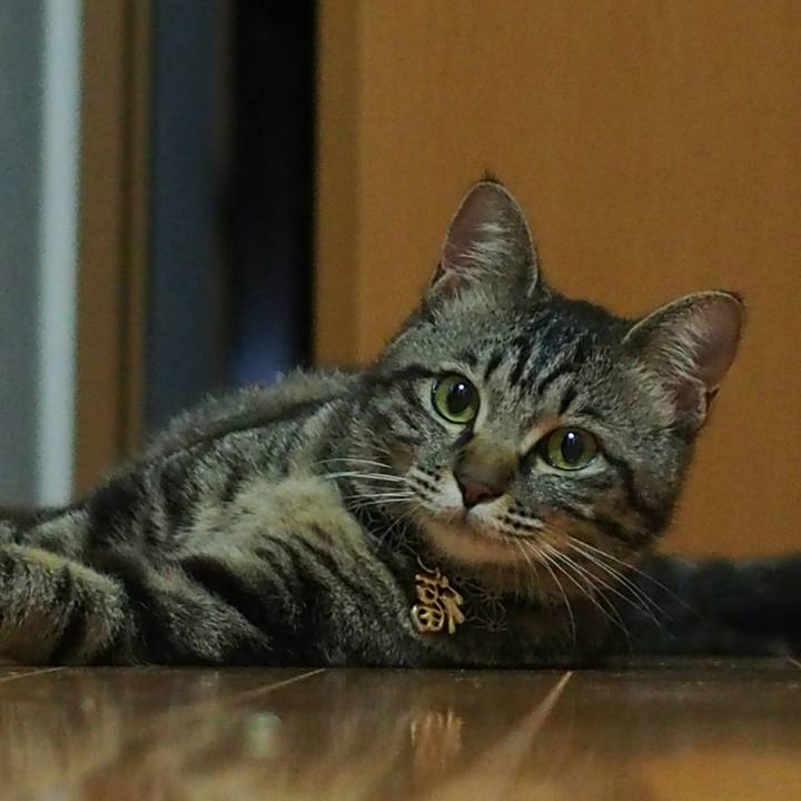 3839649f f04a 4798 9962 676a9d97b275 1524909482983