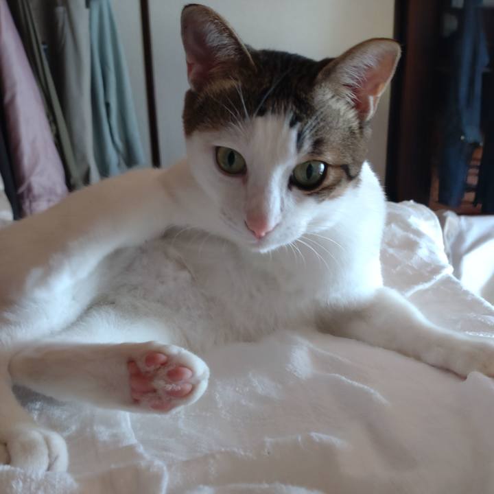 38398a94 8dfb 4918 9125 fa8087685098 1695353196193