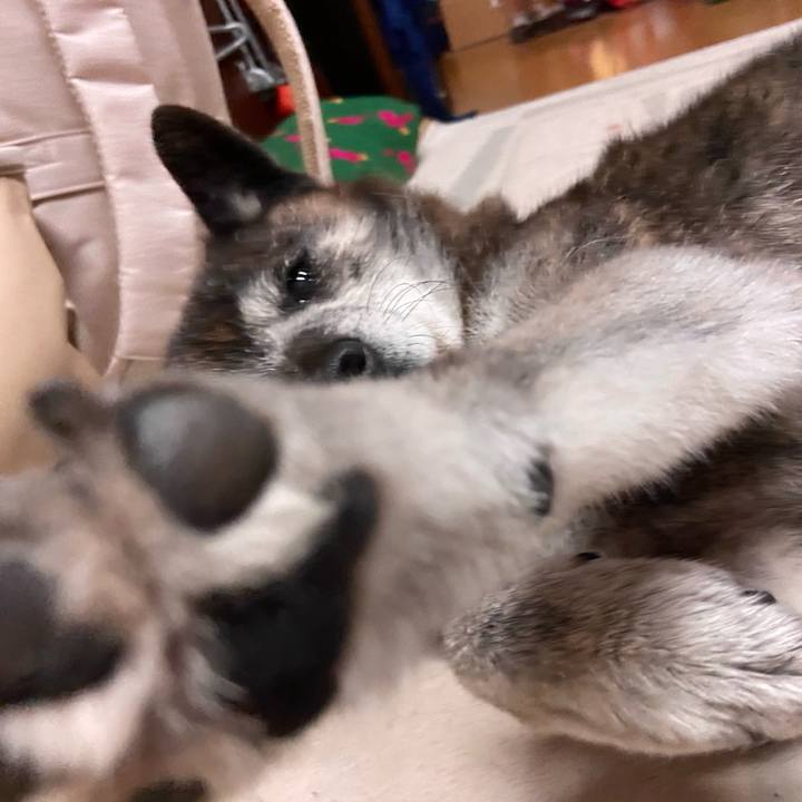 3839a498 3ab0 4a0e 8eb0 510a239be297 1705808362880