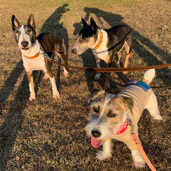 3839b992 263f 4dd2 918a 8b4977f0f787 1605471747475