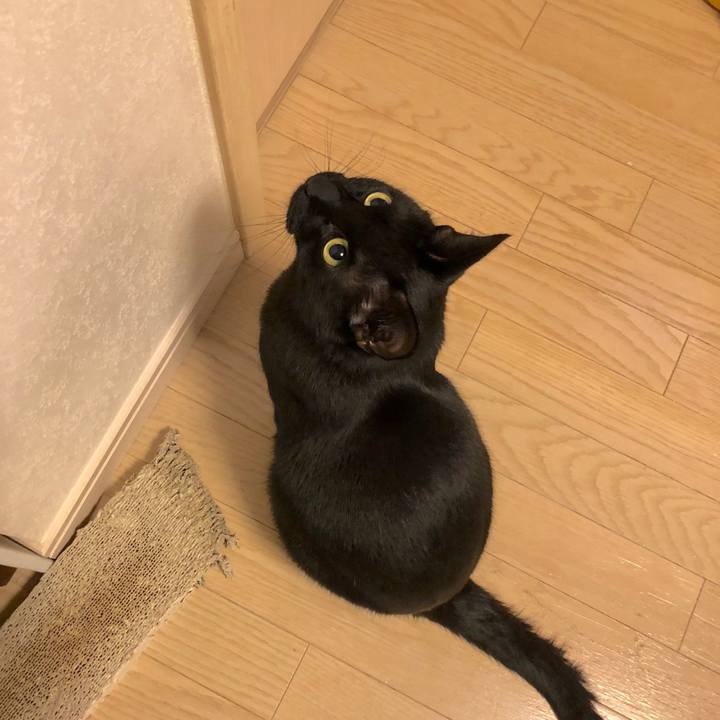 3839d802 624c 4b68 ac40 17503fa2bc8e 1519737765140