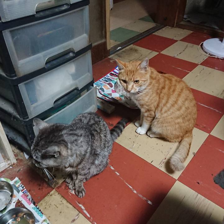 3839da2d 19a5 46a4 a40b 37255871d109 1593202686753