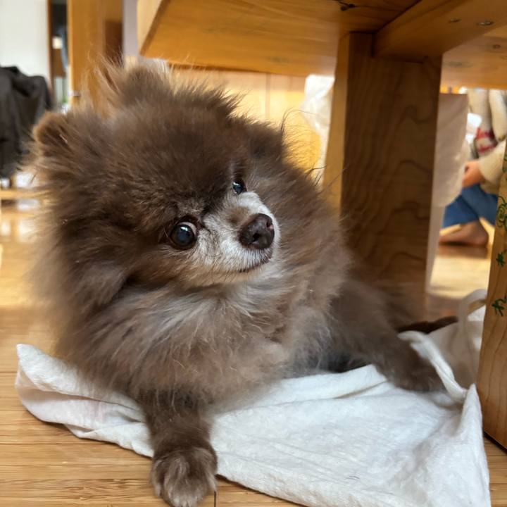 383a0fd2 a303 456d 8ee0 bfa73390c5bc 1771715296526