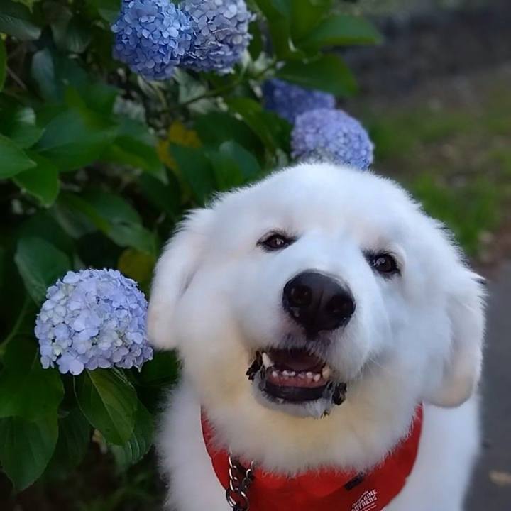 383a5cd1 058b 4d26 a13f af8150b9935f 1688959680026