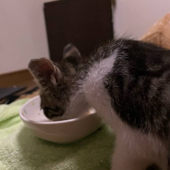 383a854d 8f1a 465f be62 b4f3df890f4f 1721309115928