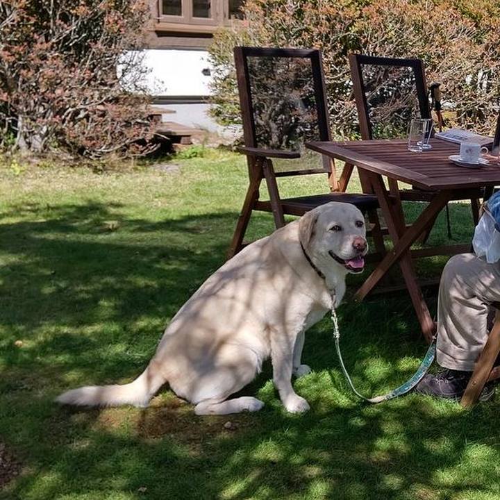 383aaa6e 3b8b 4981 8614 f3901209547c 1664599098243