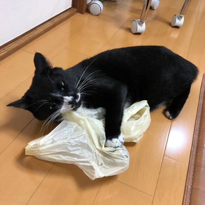 383aba9b 2d02 4220 857c 448c56bdc462 1548562160240