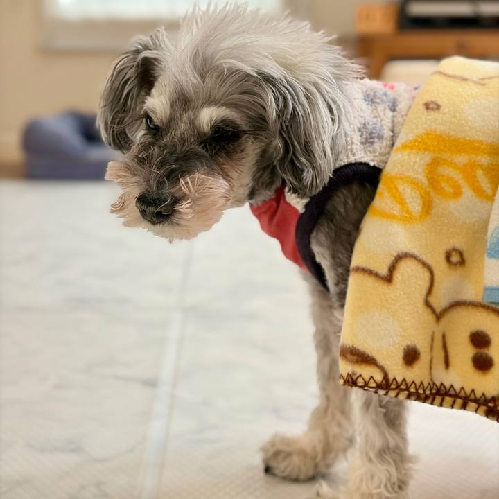 383aedcb 0e4a 4526 943b 4f81a19d5258 1767757066209