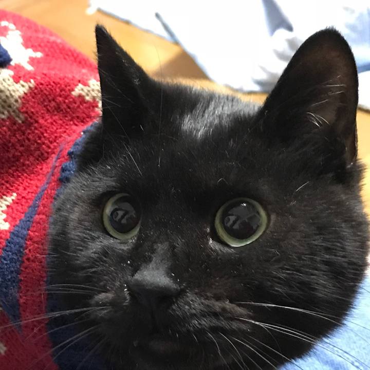 383aff0d b8df 481b 8506 aac761d9f791 1561248229239