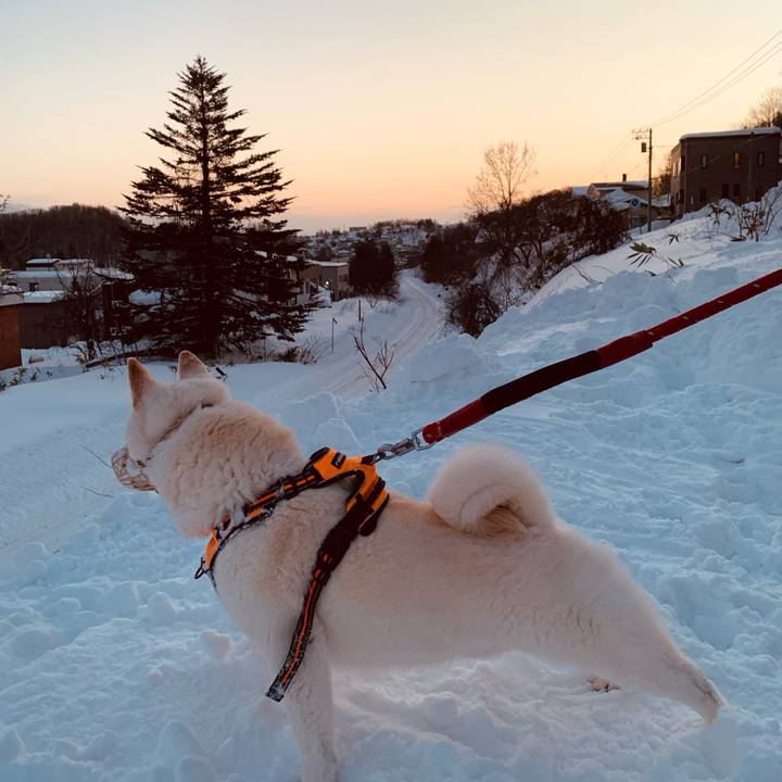 383b59c5 e127 428c a3d6 08722d8666f8 1673475395826