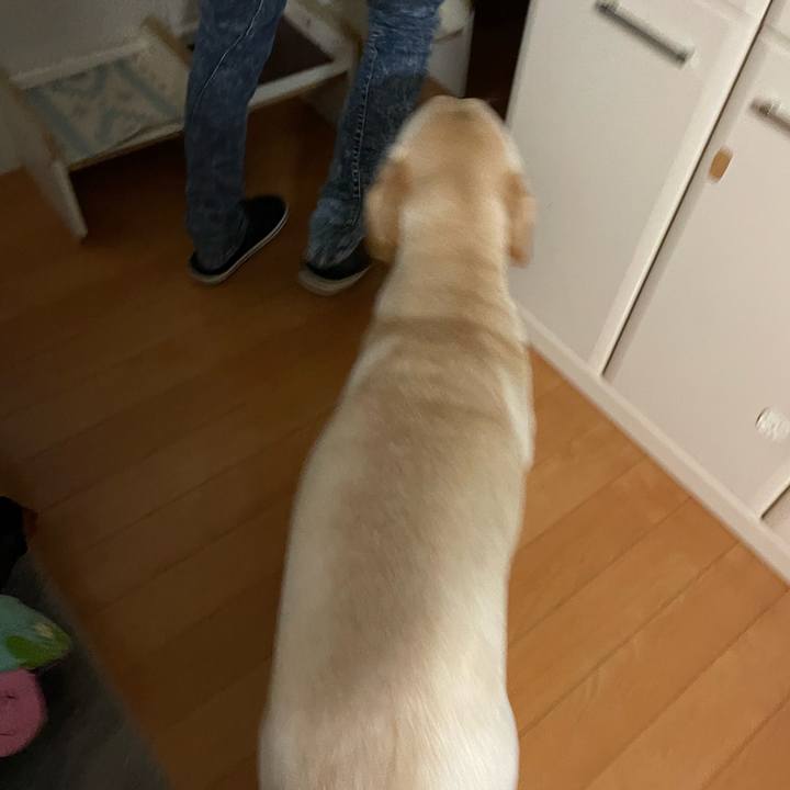 383b6139 8440 46fb 83b3 488a9d126f10 1644011141055