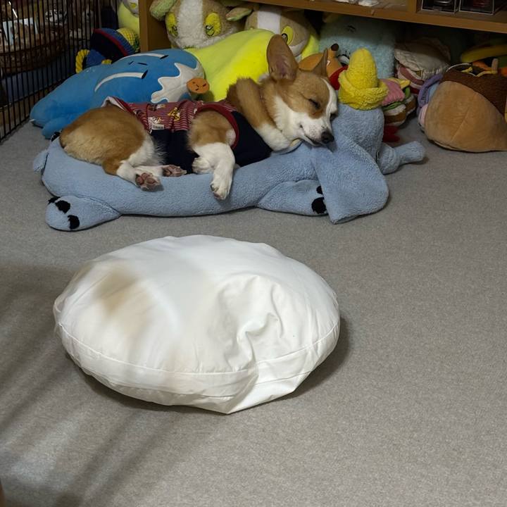 383b9173 9edd 46e0 99b9 29153a65ccf4 1762699556879