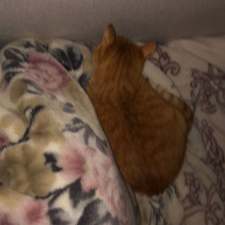 383b9eb6 e7d8 4782 b0d0 d58af28aec7c 1665518383100