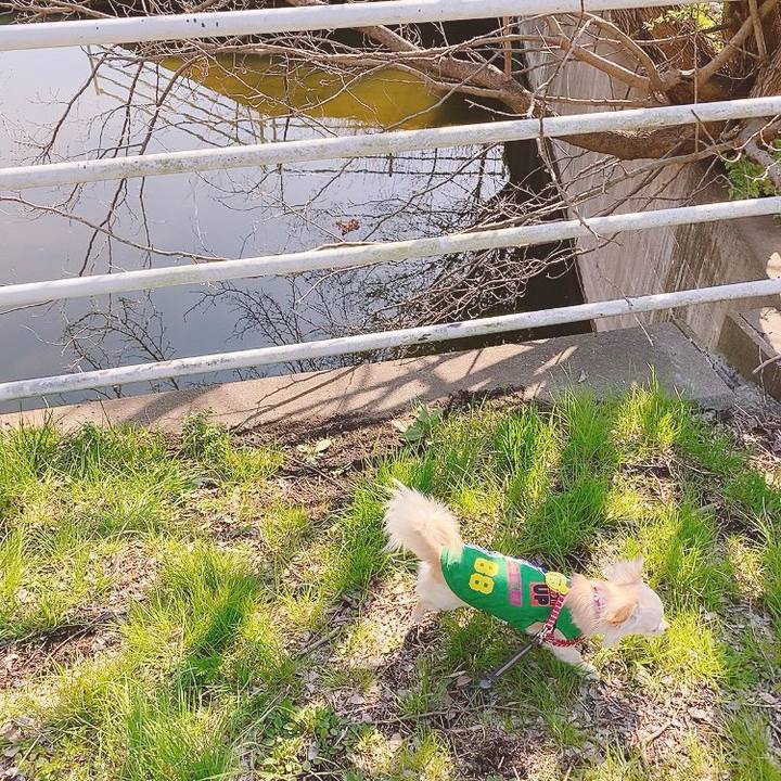 383badfd 342f 4eac 90ec 06ad7db33716 1616489516111