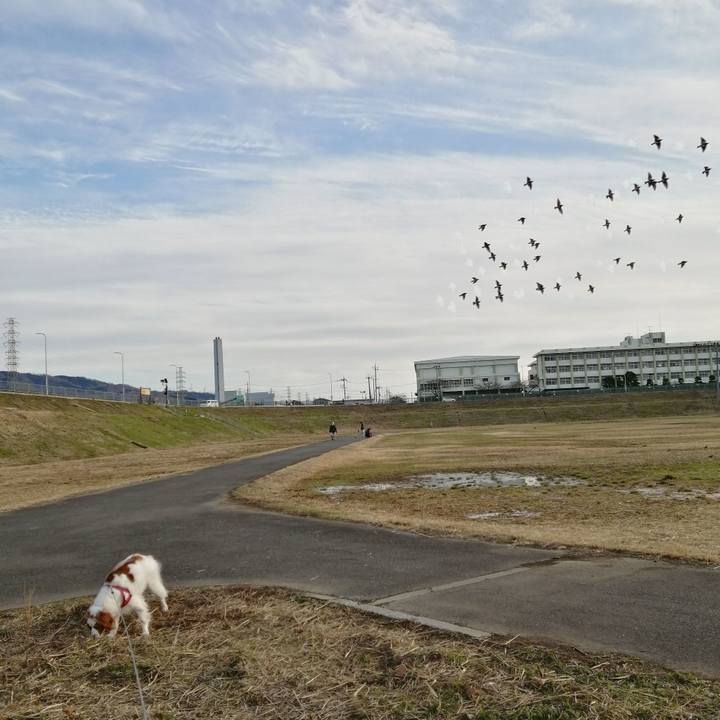 383bc433 d500 43c6 b6a4 67c9e5a12937 1614770150938