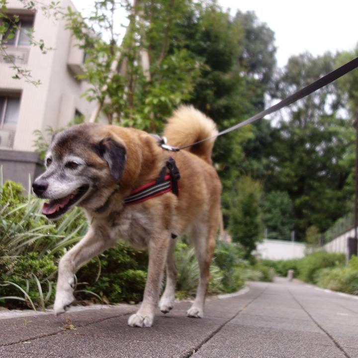 383bdb35 df6e 4a47 94d1 d07ffb6890cd 1568422331183