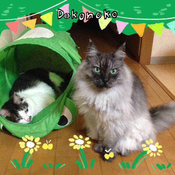 383bf006 10e3 436b 9e29 c2cf18c5ed04 1711423565386