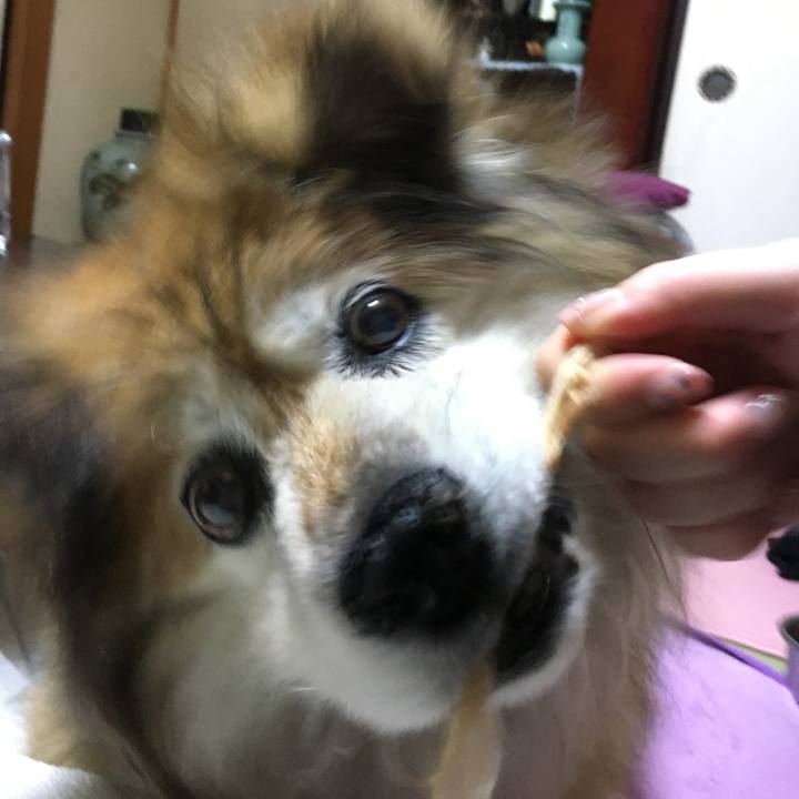 383bfa2a 17a9 4110 801a f9e07158211c 1565863553353