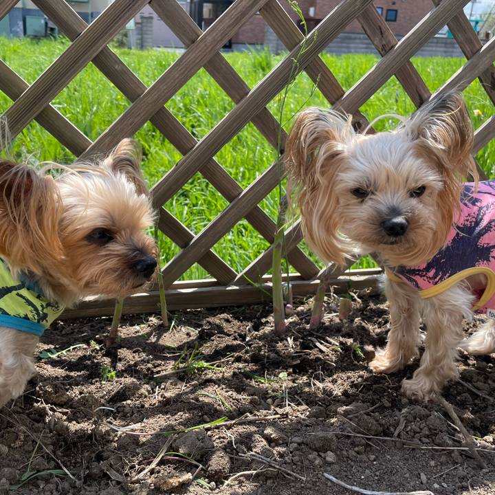 383c39e9 da87 4a0b 908f f66c7b529cd8 1652606114269